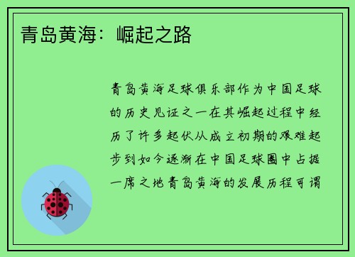 青岛黄海：崛起之路