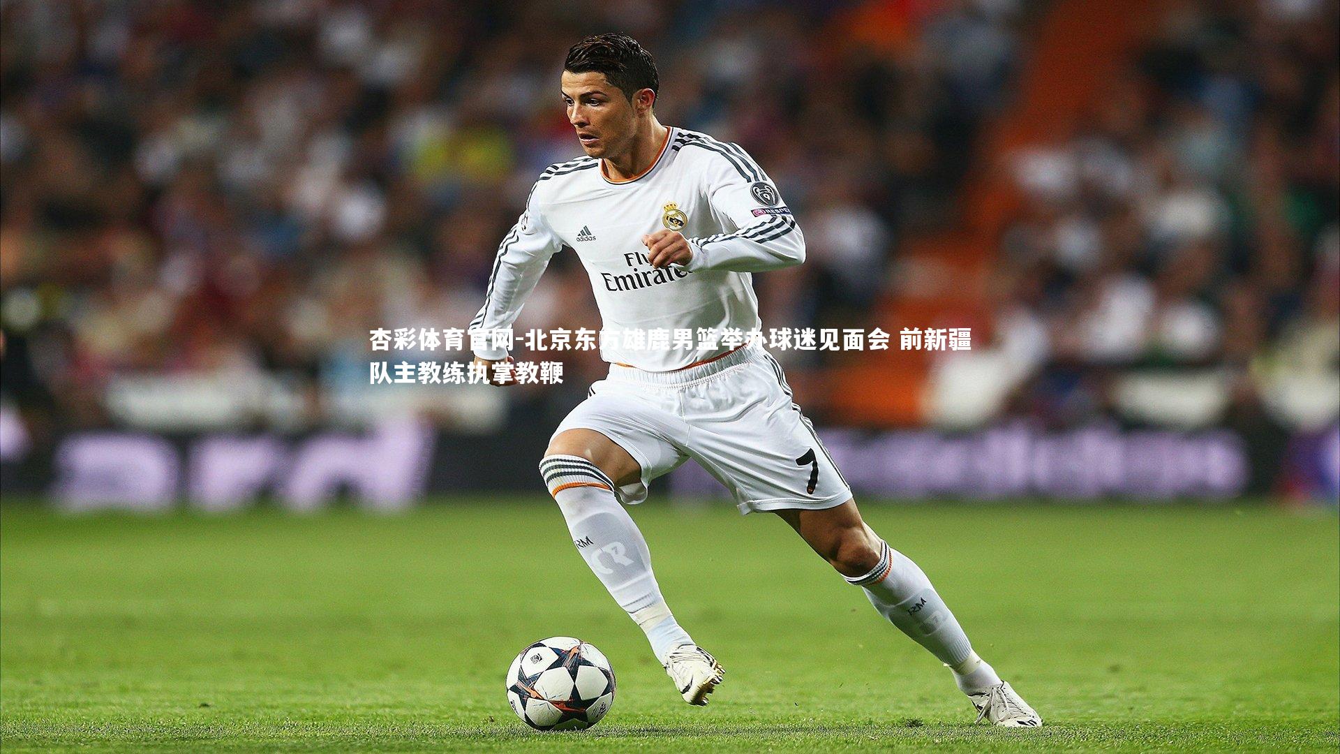 北京东方雄鹿男篮举办球迷见面会 前新疆队主教练执掌教鞭